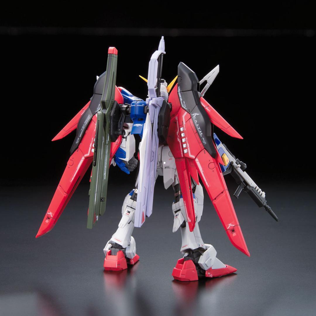 【2品セット】RG GP01Fb フルバーニアン／デスティニーガンダム【新品】