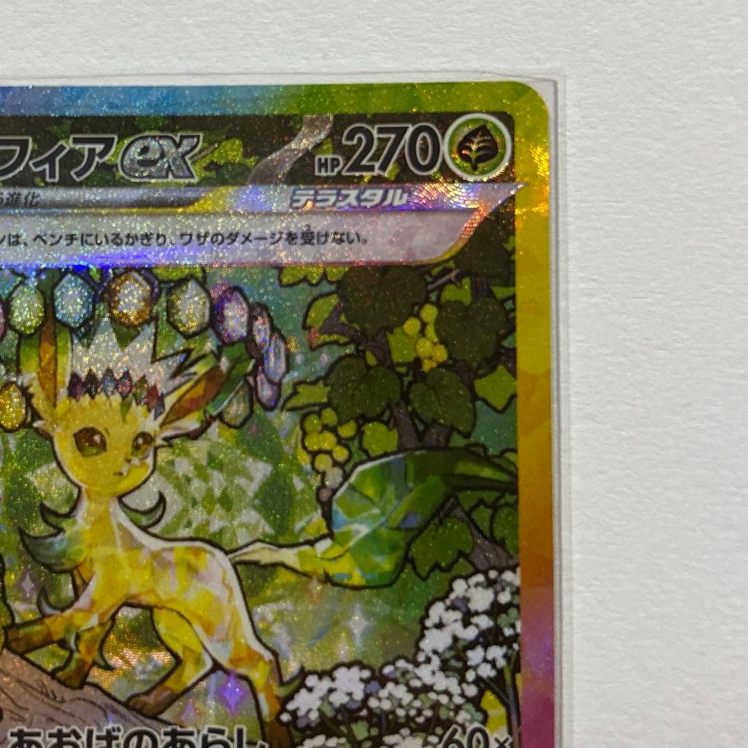 テラスタルフェスex ブイズ まとめ売り