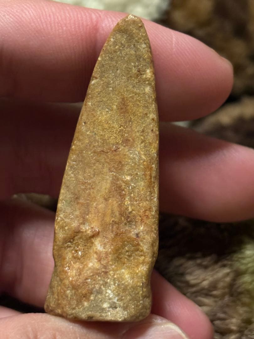 スピノサウルス　フットフロウ　化石