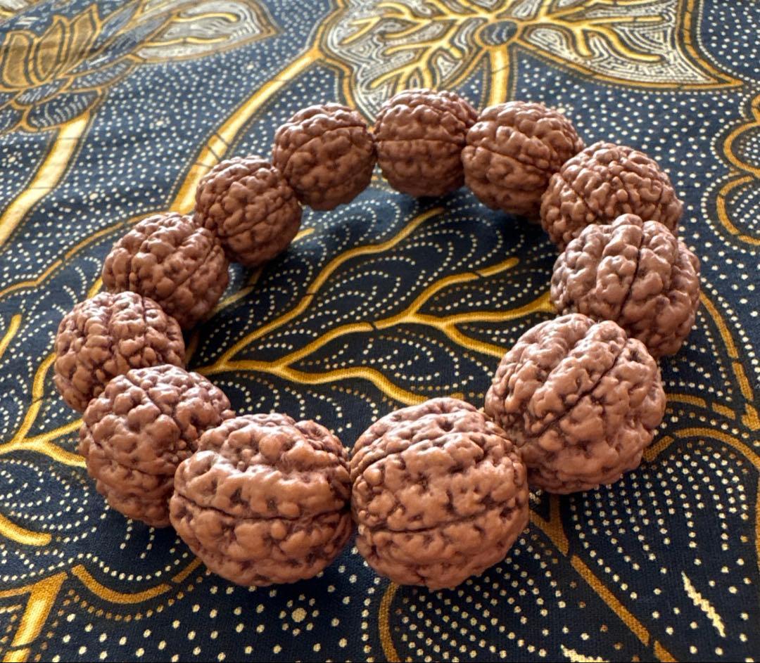 コッコブライド　ルドラクシャシナールブレスレット