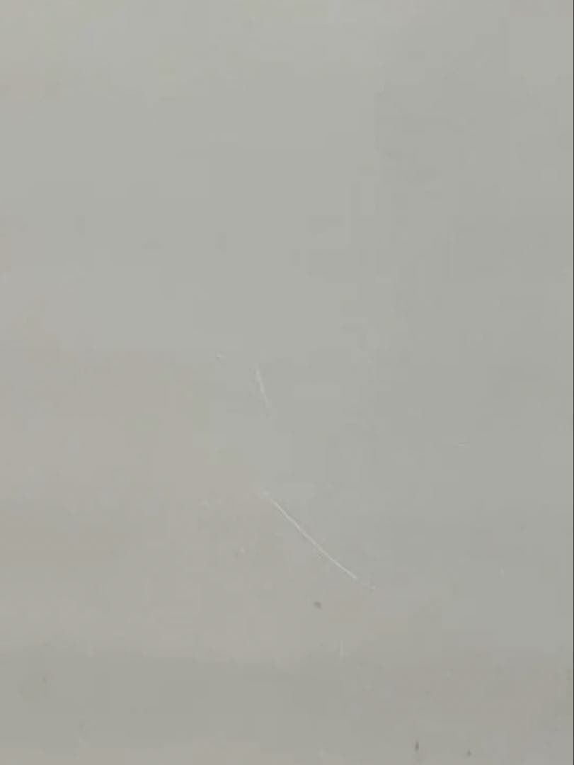 Akina Nakamori ポスター 二枚！