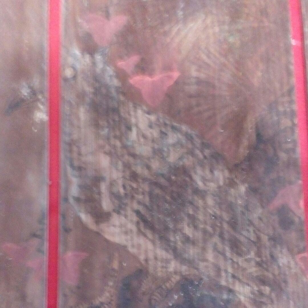 江戸時代伊予國寺社稀少天井絵図残骸２００〜２８０年頃月光に松木鳥４５センチ当時物