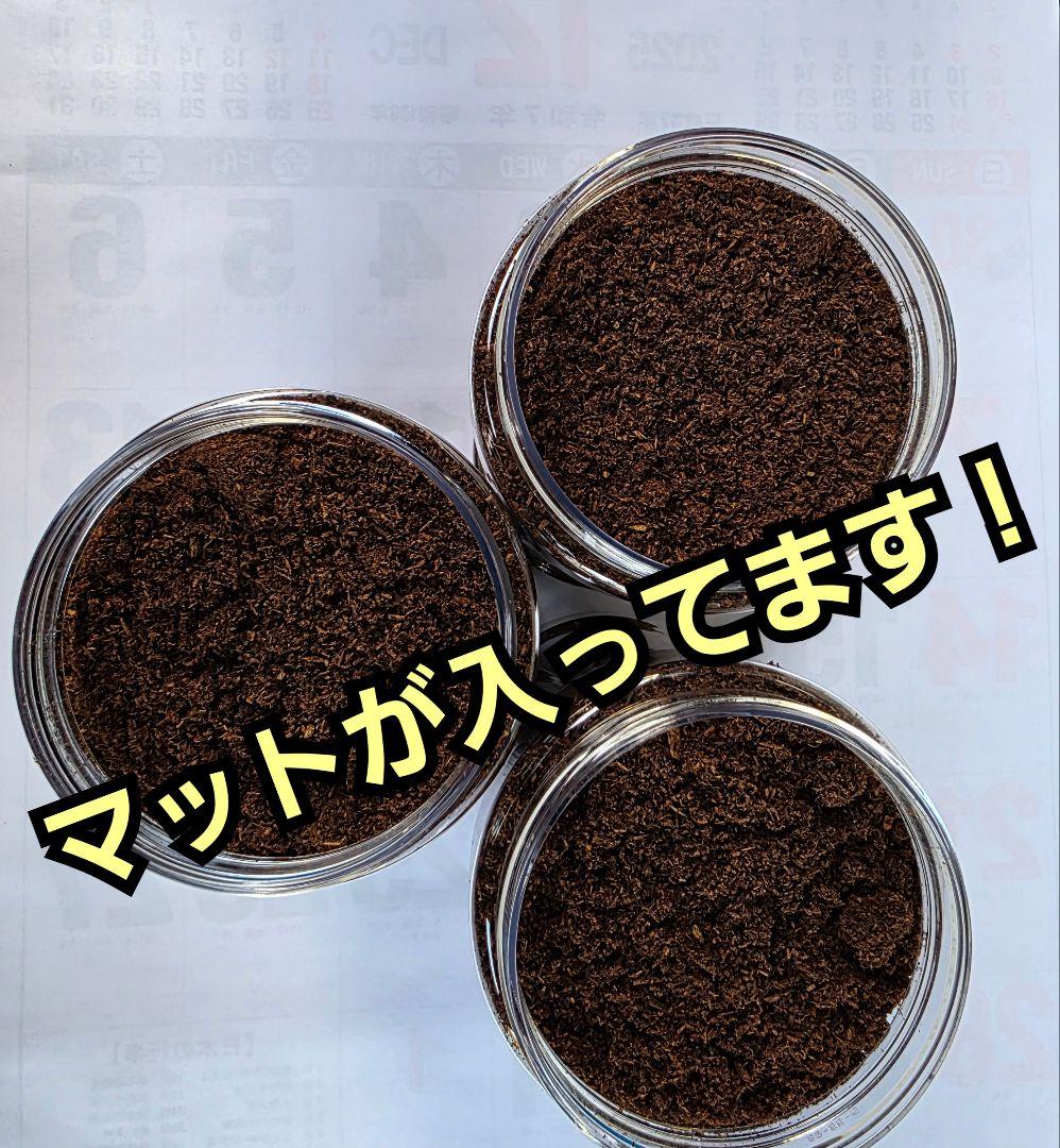 発酵マット入り！国産カブトムシ幼虫1頭飼育専用縦長クリアボト【20本セット】