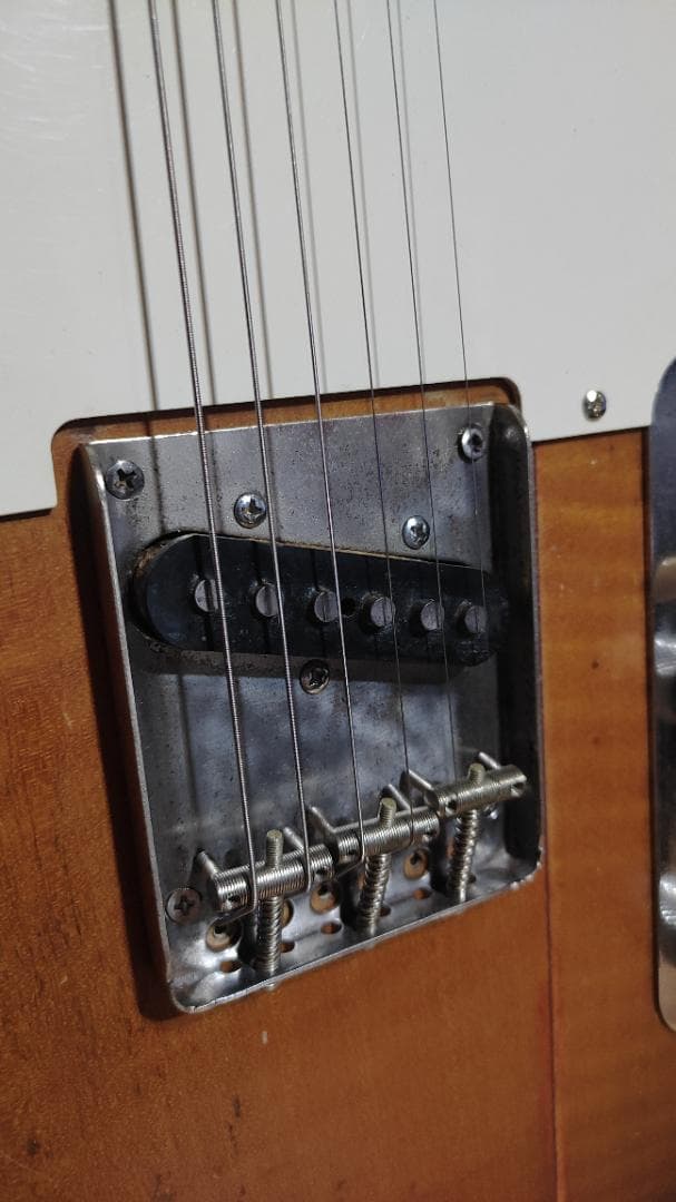 Fernandes Telecaster 1977年