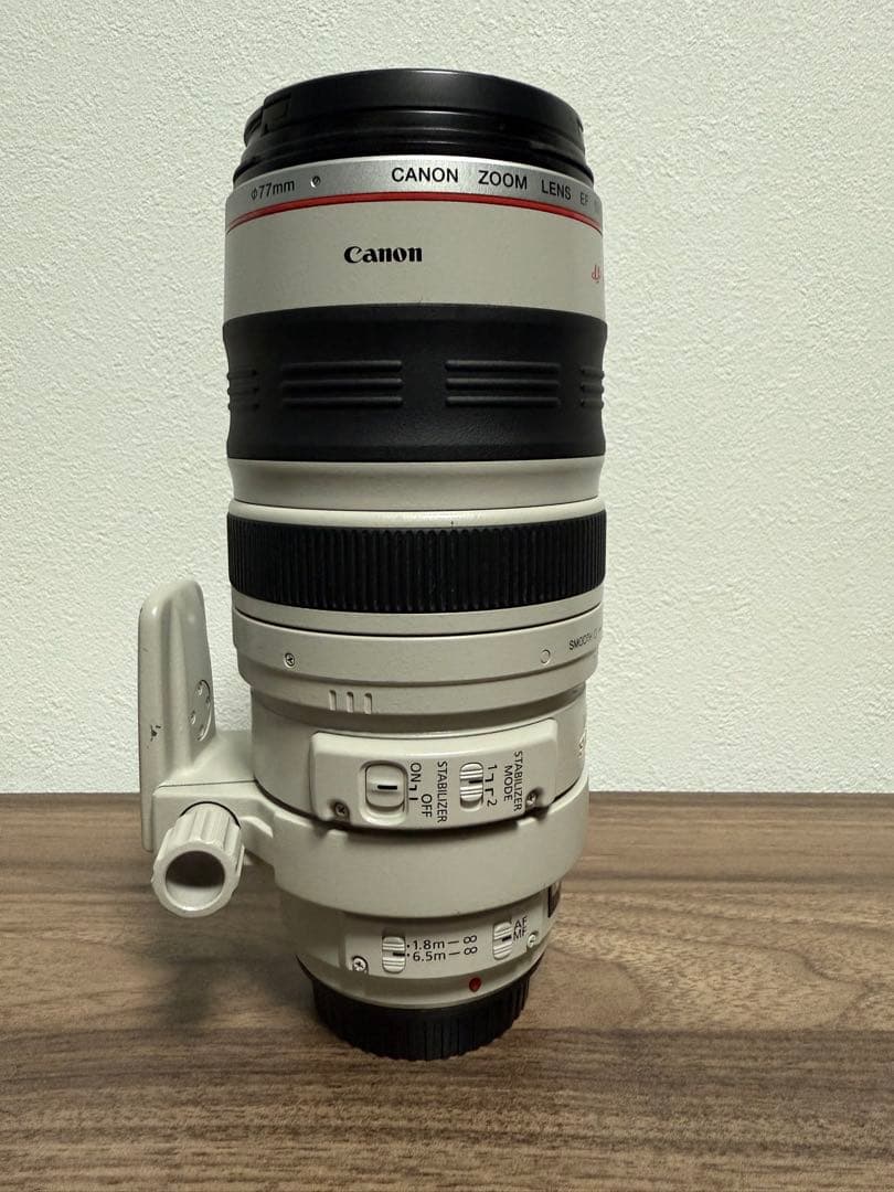 Canon EF100-400mm F4.5-5.6L IS(純正交換レンズ)