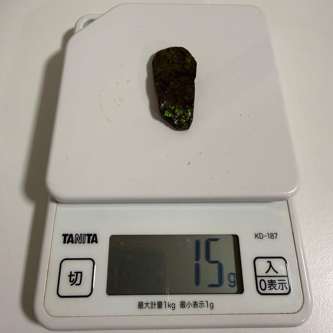 【美遊色】アンモライト 原石 15g アンモナイト化石 標本 コレクション