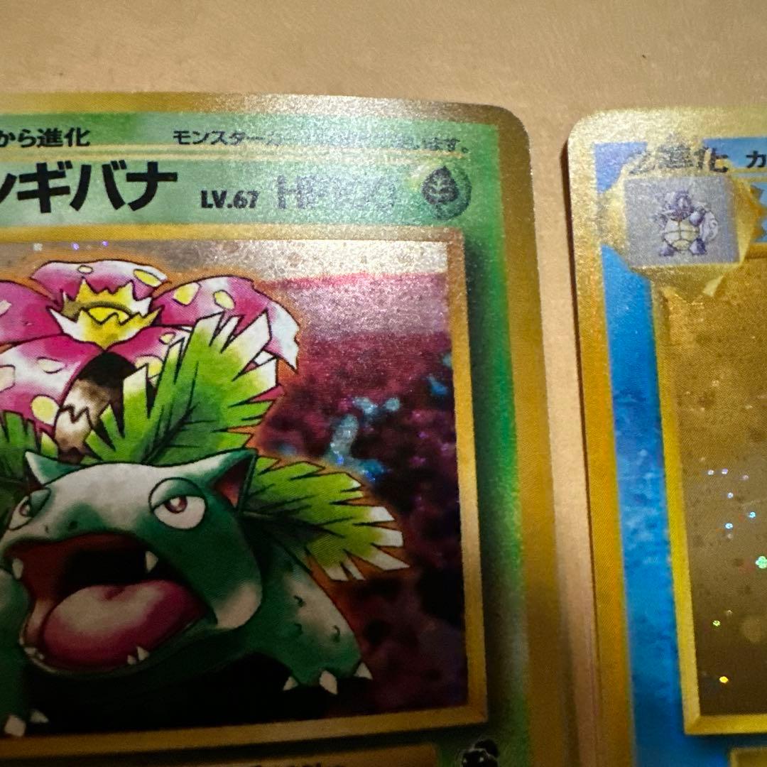 旧裏 フシギバナ カメックス イントロパック