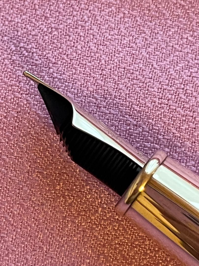 ☆説明確認の上購入してください☆アウロラ 万年筆 オチェアーノ アルティコ F