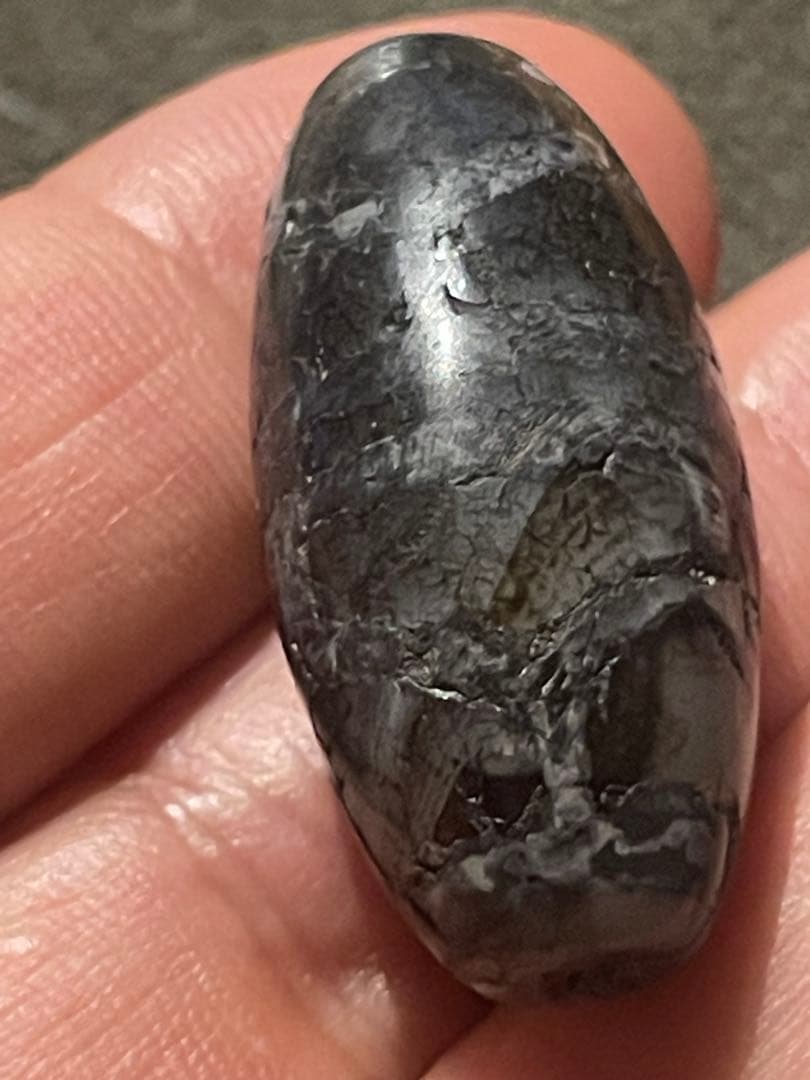 出土　双亀甲天珠