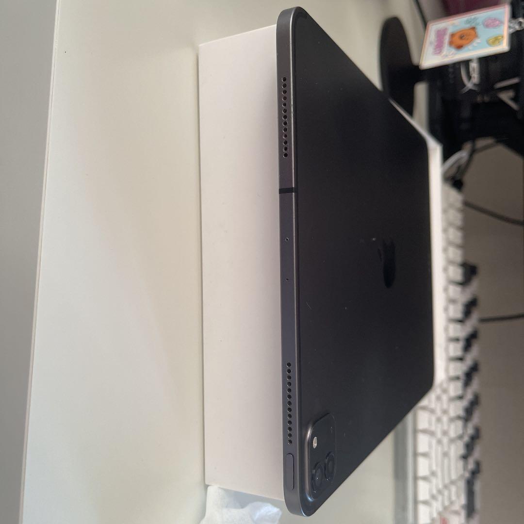 iPad Pro (第2世代)11インチ Liquid Retinaディスプレ…