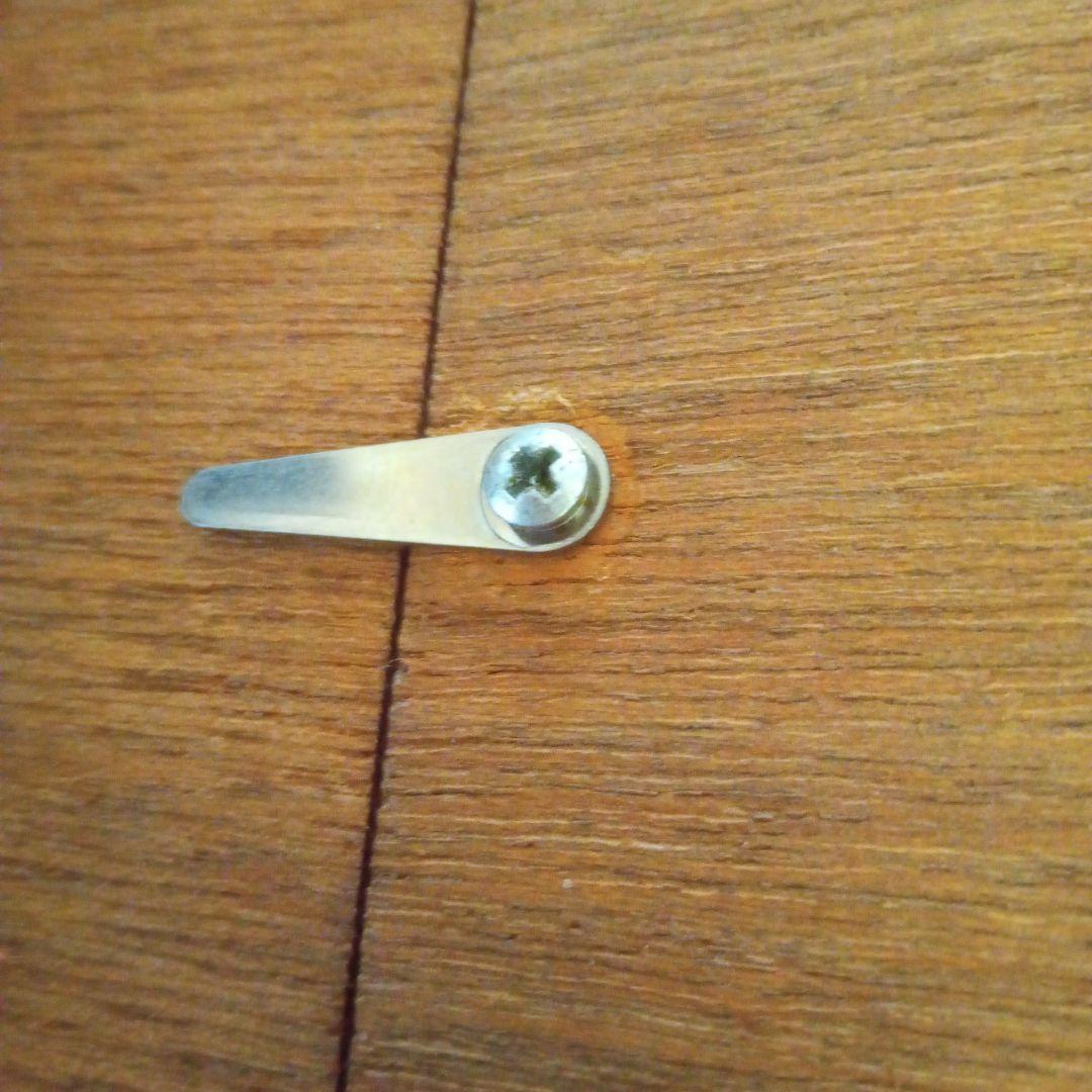 【真作　超希少作品】柿　加納 莞蕾（辰夫） 作　+ オマケのタトウ