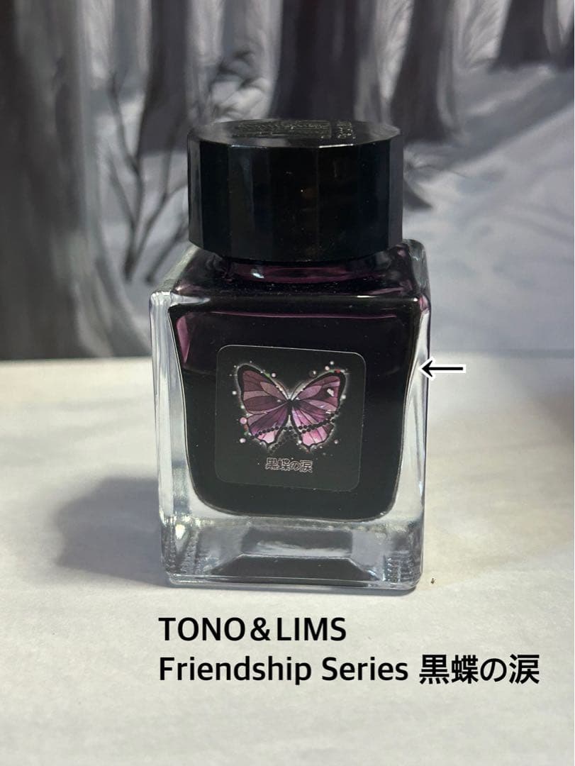 万年筆 ガラスペン インク とのりむ 文具館コバヤシ等 セット