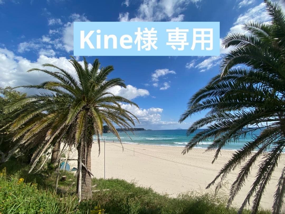 【グラスフェッドラムwithグリーンベジタブル】スチーム＆ドライ3.2kg×2袋