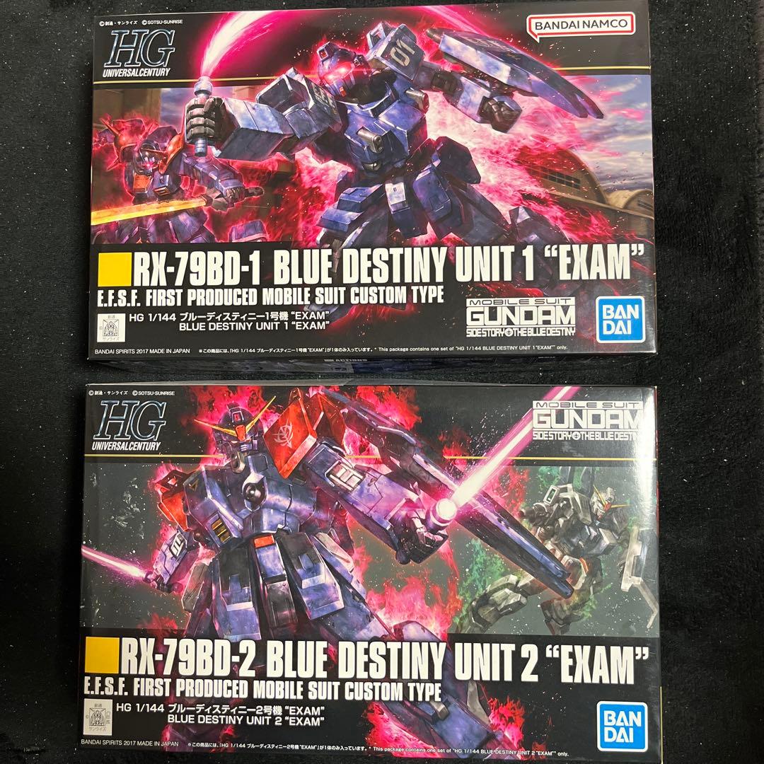 未開封品 HG ガンプラ ブルーディスティニー1号機 2号機 EXAM