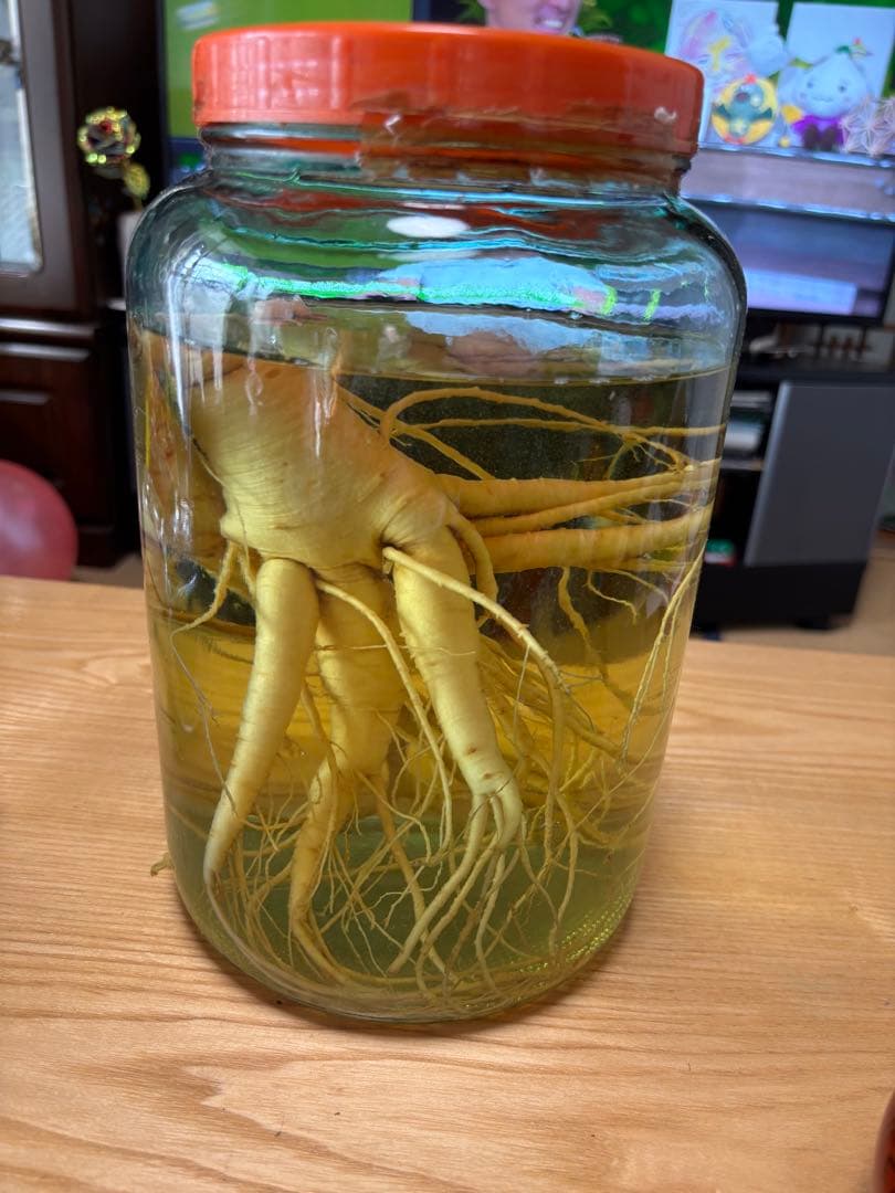 高麗人参の根入りガラス瓶