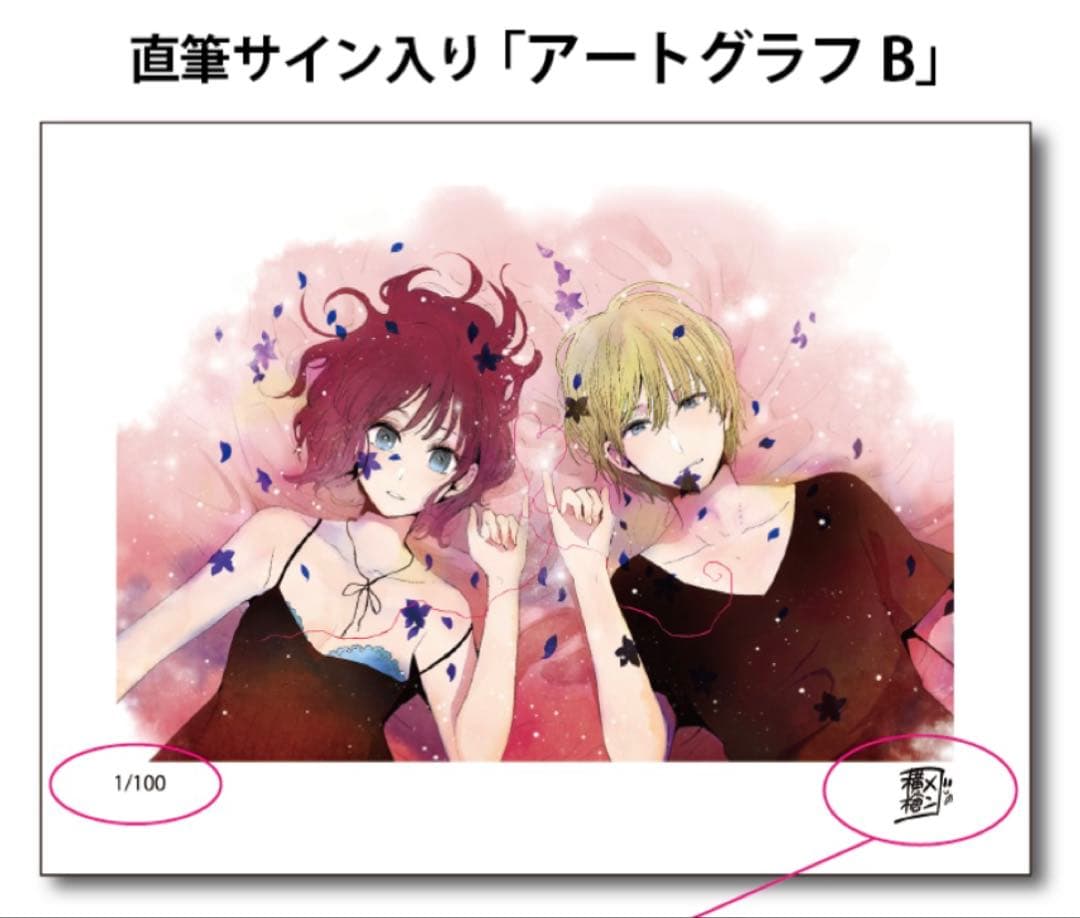 横槍メンゴ　直筆サイン入りアートグラフ　画業10周年記念展