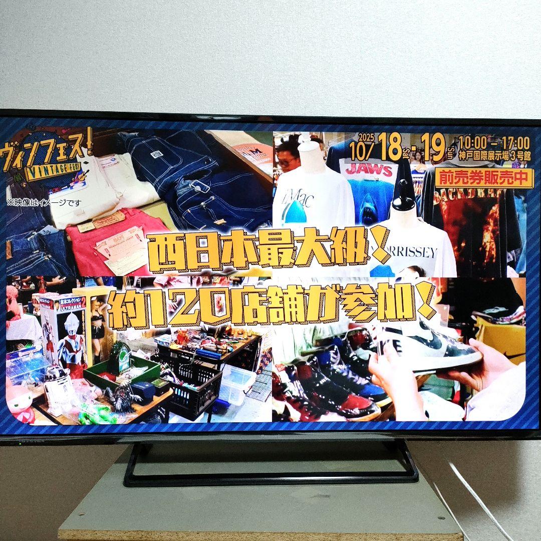 Panasonic[2016年製品]TH-49DX600