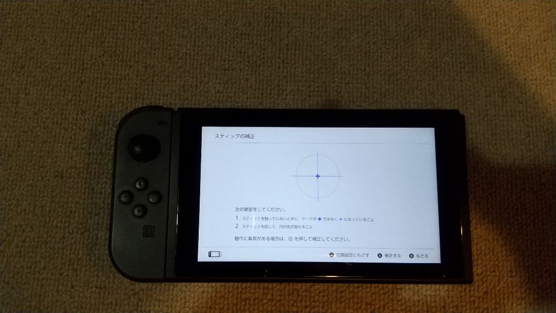 Nintendo Switch グレー ケース付き