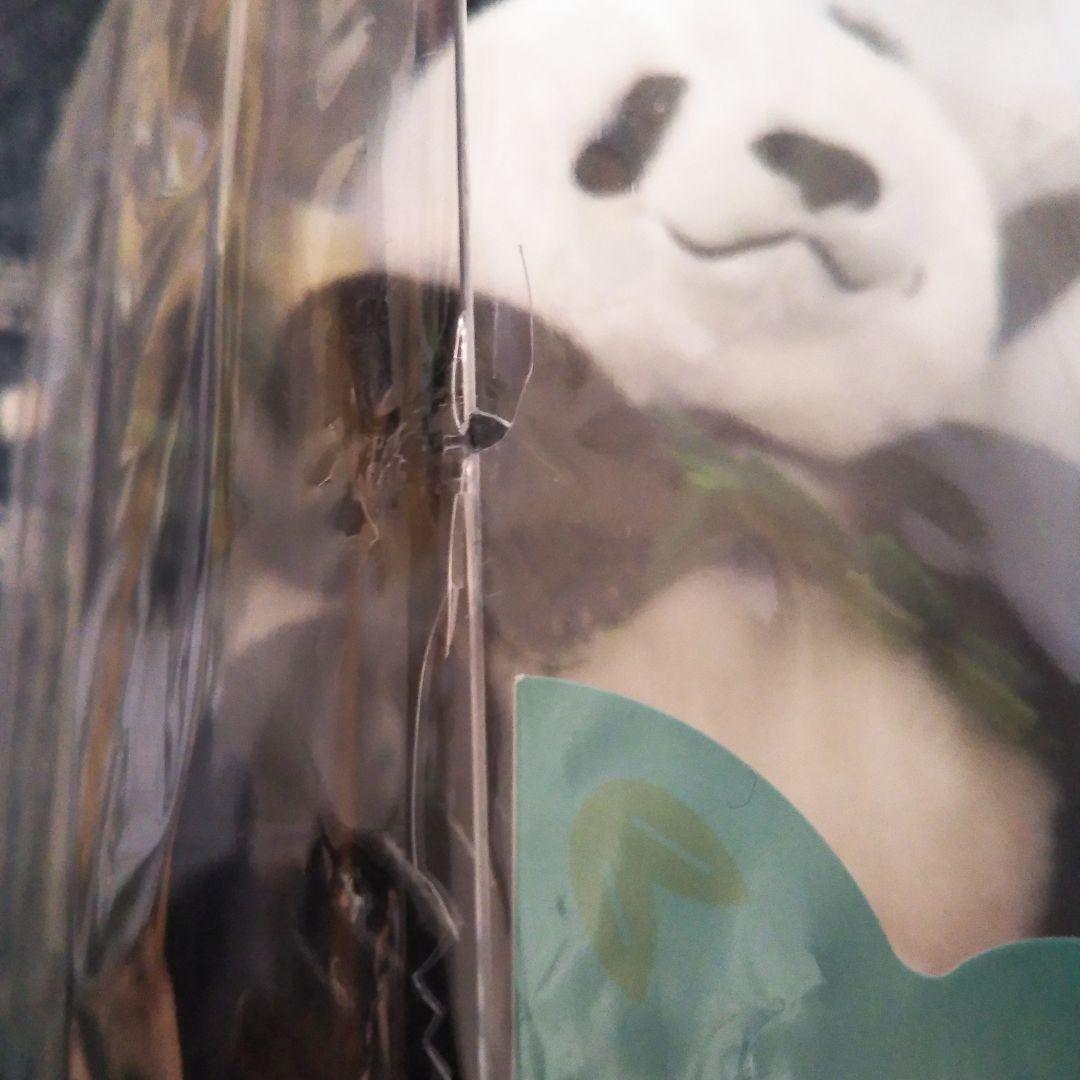 【新品】訳あり　上野動物園　パンダ　ぬいぐるみセット 暁暁＆蕾蕾