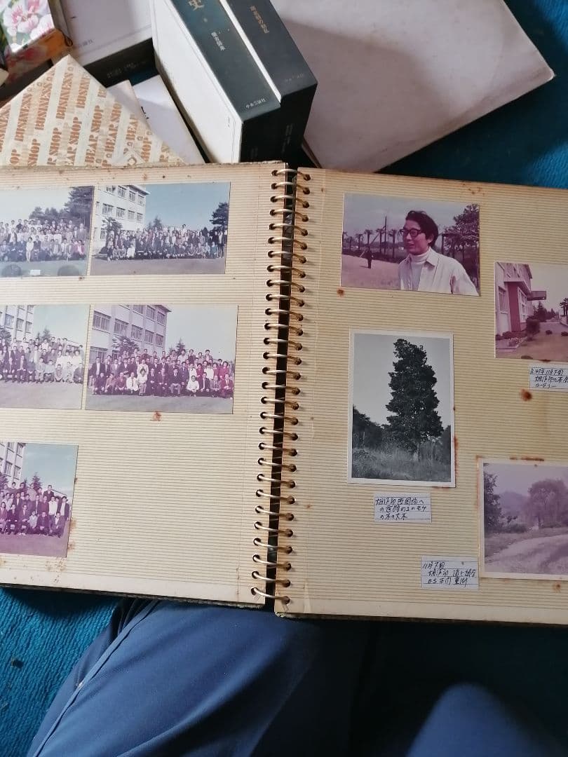 昭和レトロ　写真大量‼️　44枚　昭和40年代