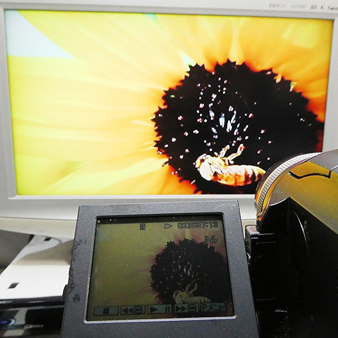 動作品 ソニーDCR-PC300 MiniDV ビデオカメラ DVDダビングに
