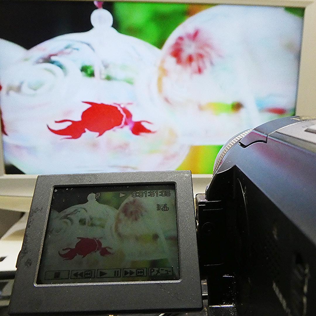 動作品 ソニーDCR-PC300 MiniDV ビデオカメラ DVDダビングに