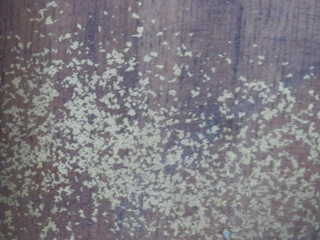 ★讃岐一刀彫　山中象堂作　木彫　般若面　魔除け　縁起物★神楽面・能面