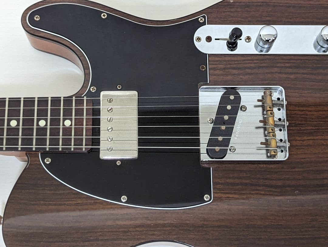 FGN フジゲン テレキャスター