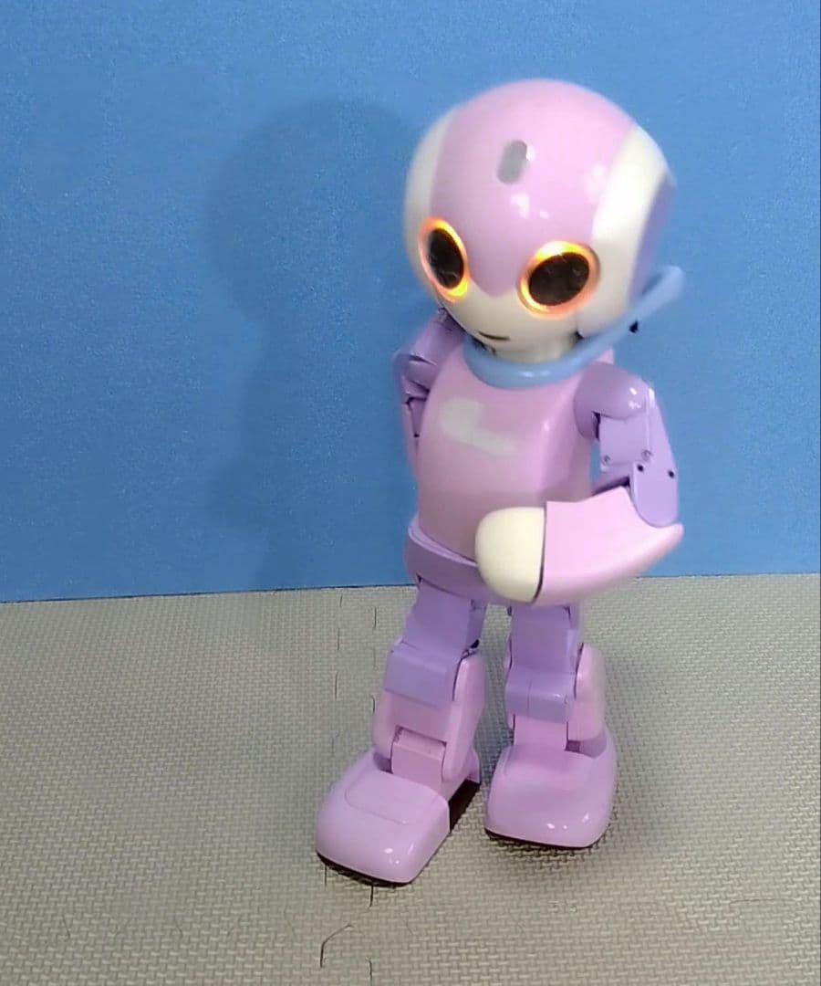 ロビ 全塗装 [ロビの目覚]から起動 フルセット