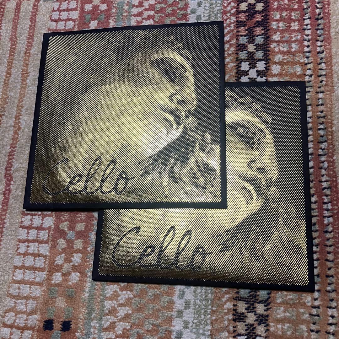 エヴァ・ピラッツィ　ゴールド　チェロ弦　A線D線　セット