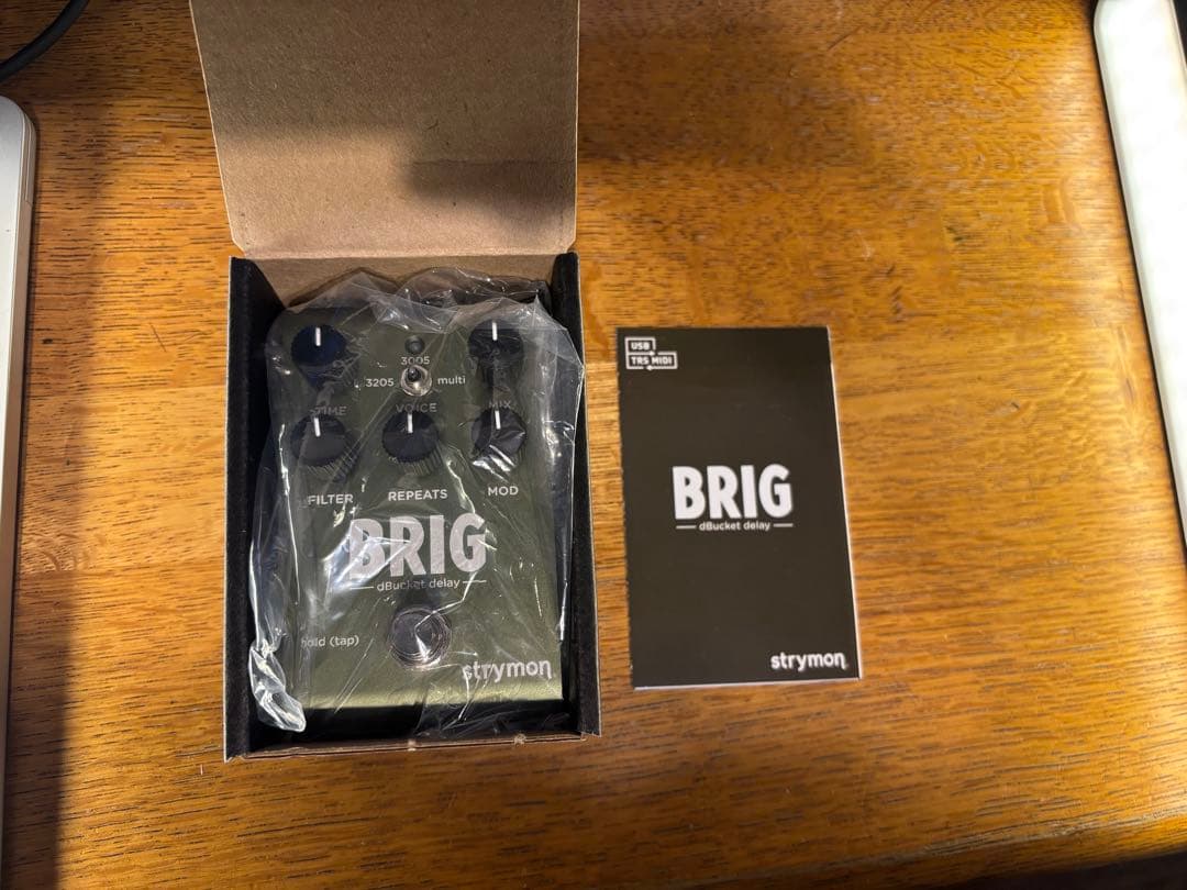 Strymon BRIG dBucket delay 美品