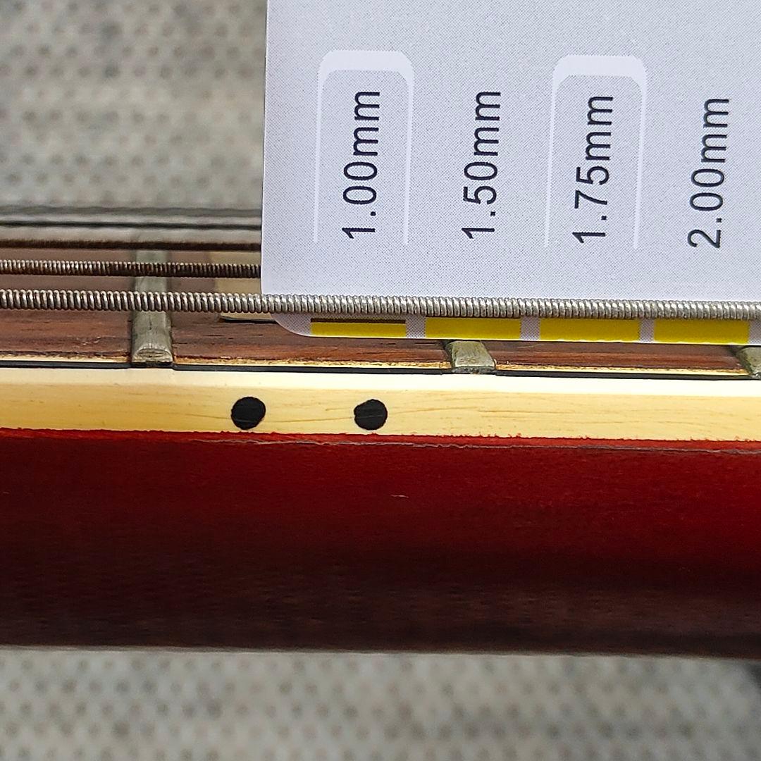 【希少】TEISCO SG テスコ ギター ジャパンビンテージ