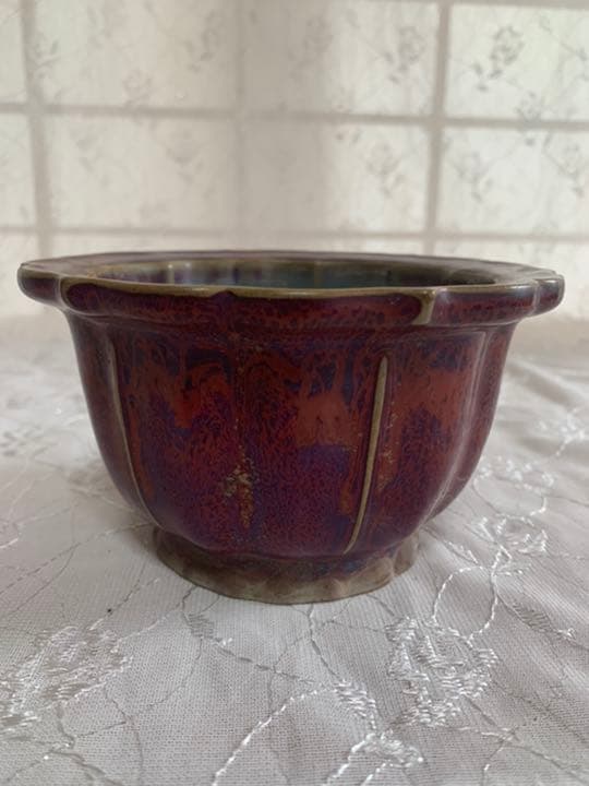 古渡鉢　盆栽鉢