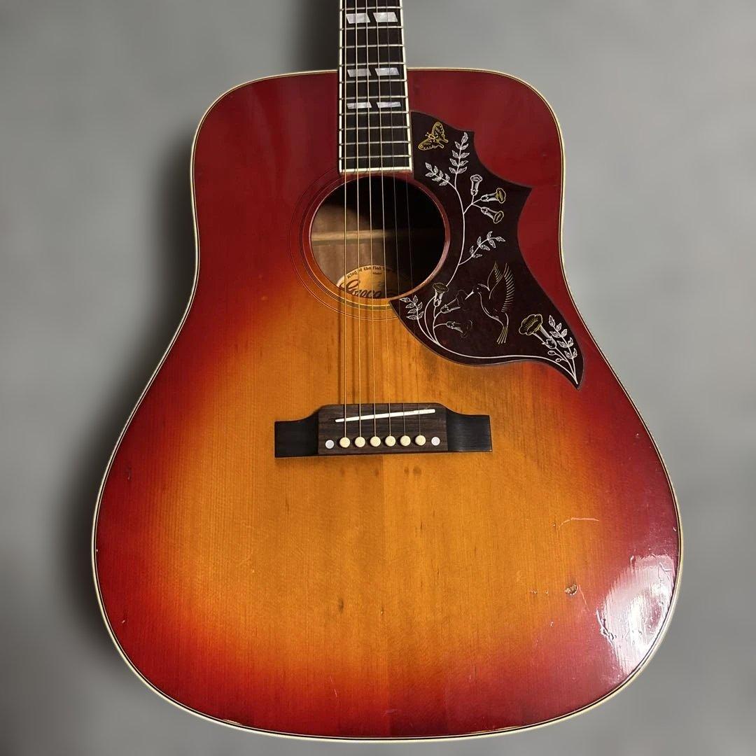 Greco アコースティックギター 202 ハミングバードサンバースト弦高調整済
