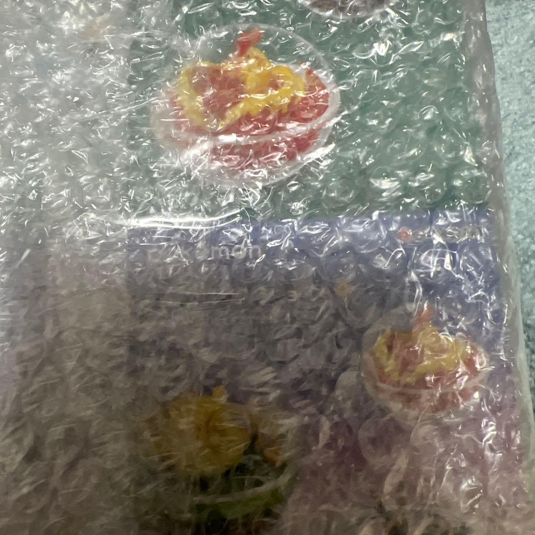 未開封　リーメント　ポケモンテラリウムコレクション4 梱包済