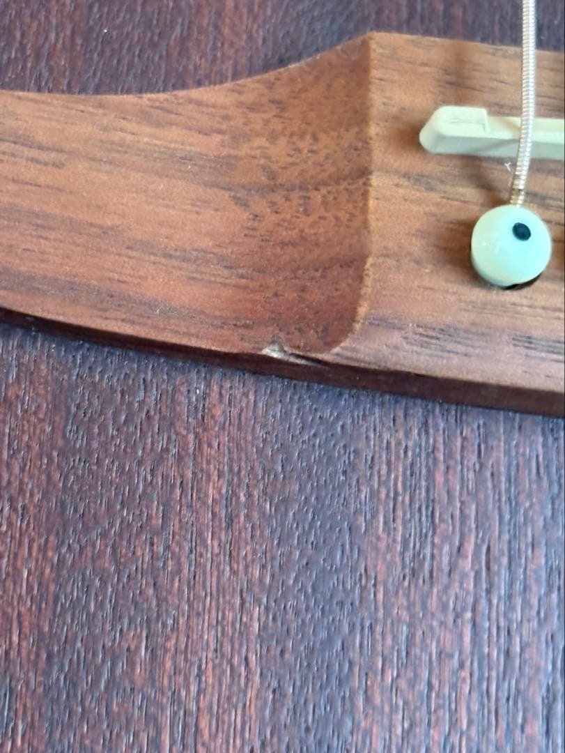 FENDER Sonoran Mini All Mahogany ミニアコギ