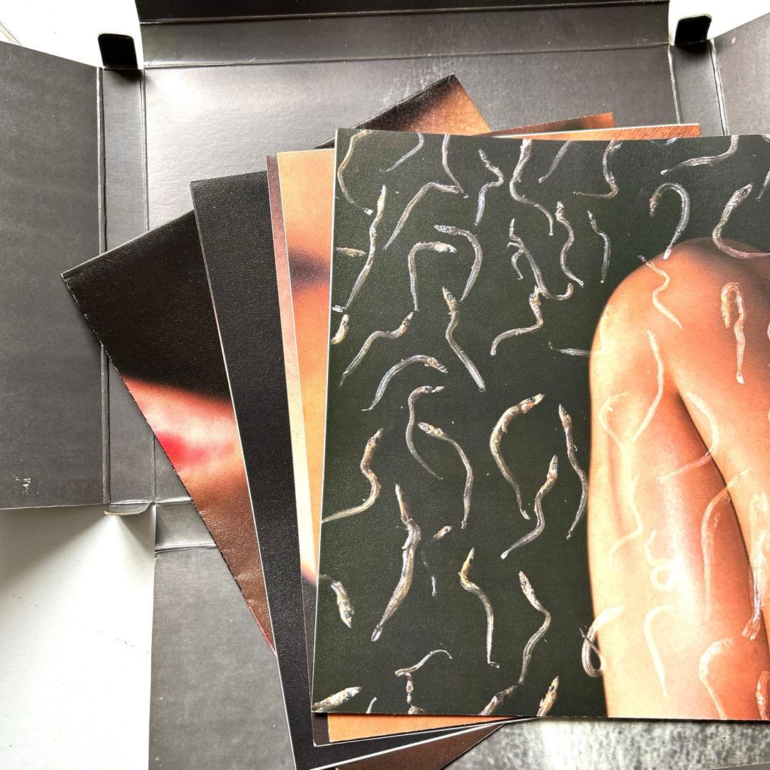 獣愛　第三のヴィナス　吉岡康弘写真集