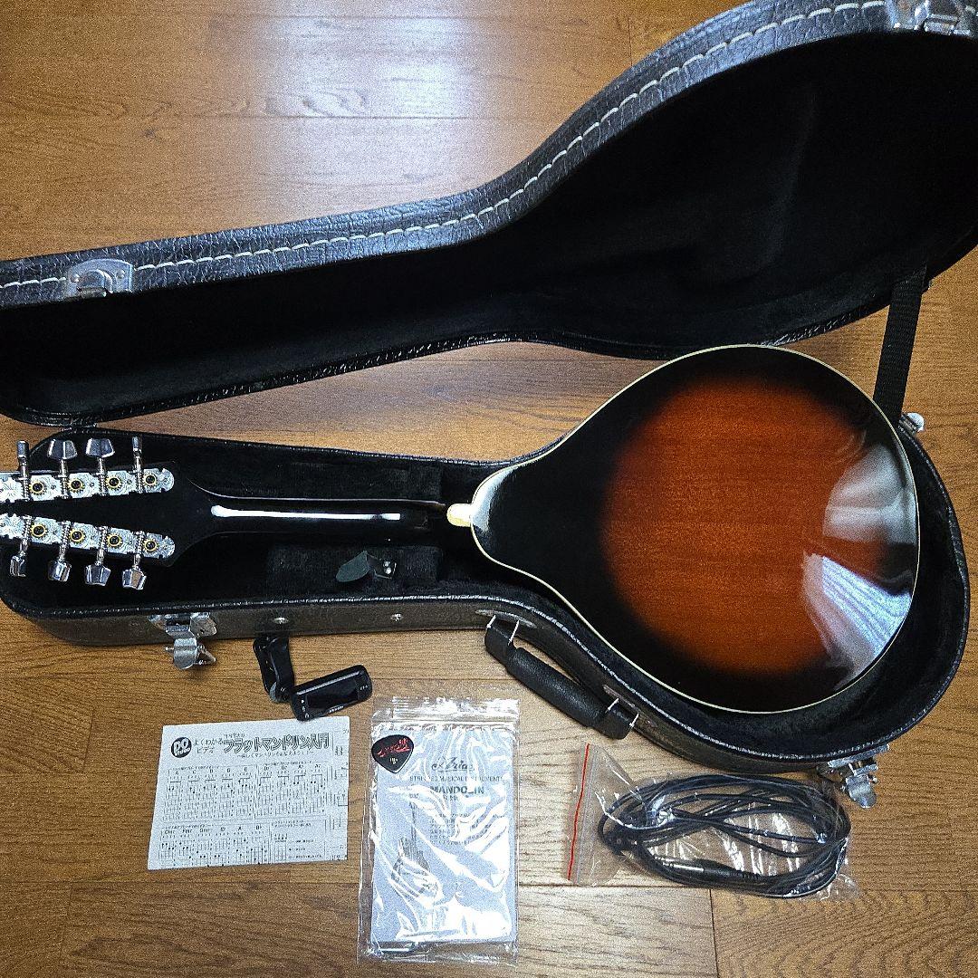フラットマンドリン　ケース　コード付き