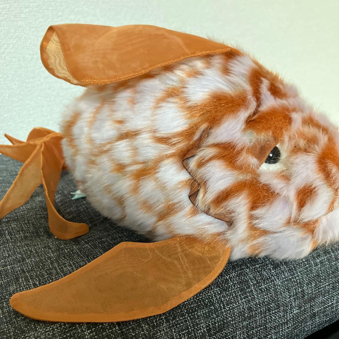  気難しいオレンジの魚