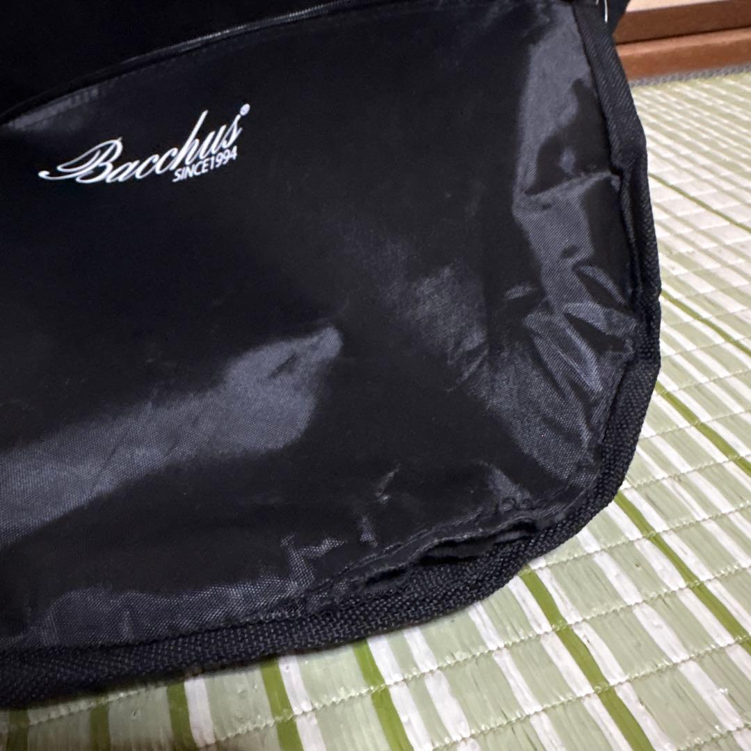 Bacchus ジャズベース BJB-1M マリンブルー　ベース　楽器 BASS