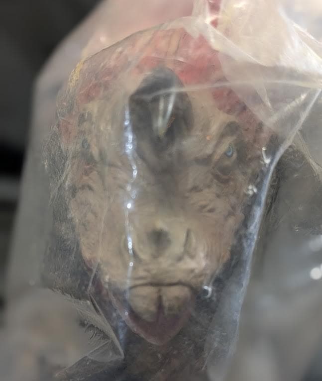 アギラ「ウルトラセブン」カプセル怪獣（ＣＣＰ）未開封ソフビフィギュア