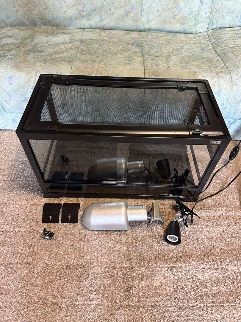 おしりかじり虫　6035+4535