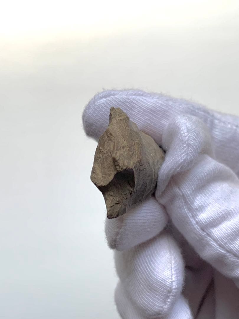 旧石器時代　矢尻　打製石器　出土　紀元前　尖頭器　土器　勾玉　石斧　化石　隕石