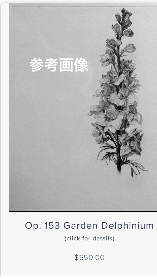 Jakob Demus ダイヤモンドドライポイント技法エッチング　ボタニカル画