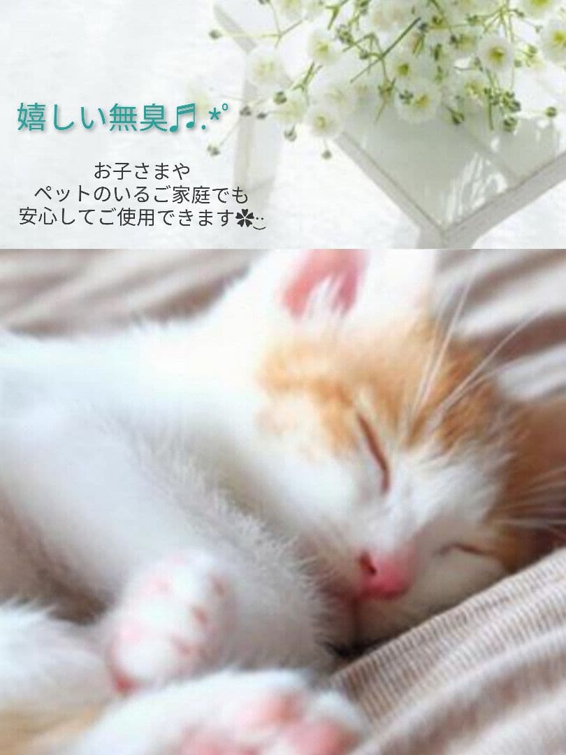 専用レジン液 シエル10本、コーティング剤つき