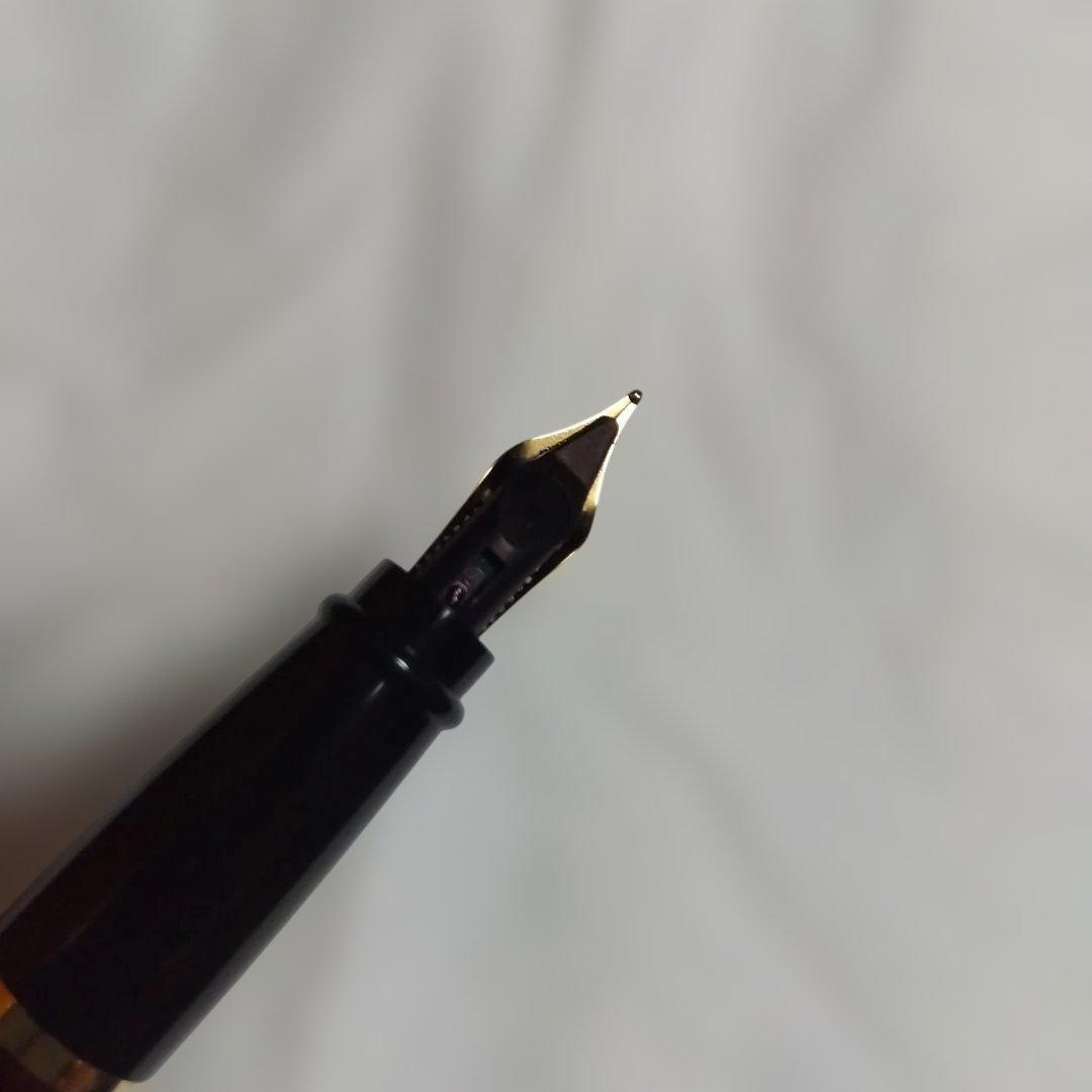 【apollosさま】AURORA 万年筆 　【専用ケース付き】