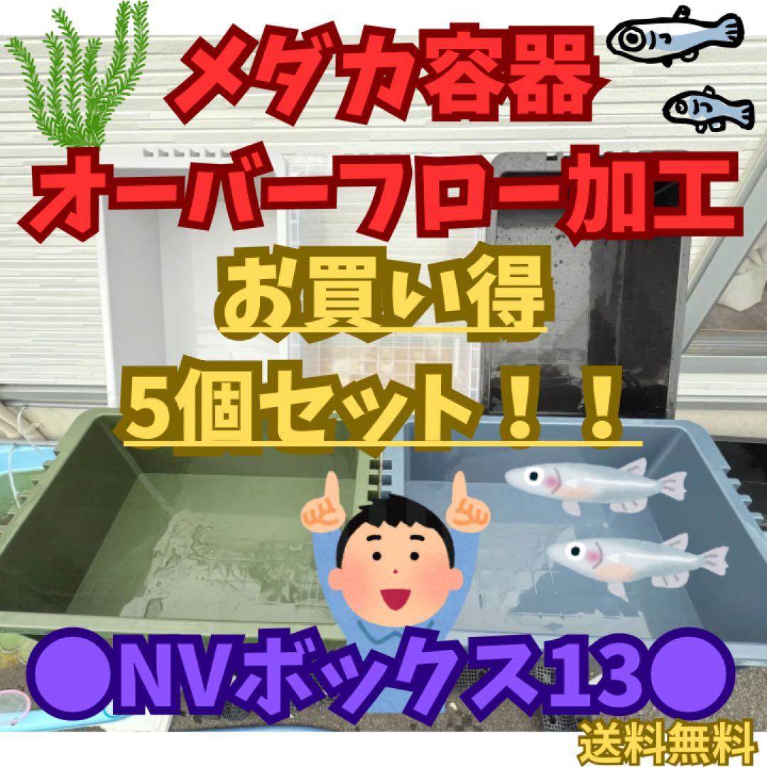 ★お買い得★NVBOX13 オーバーフロー容器 5個セットメダカ飼育 めだか