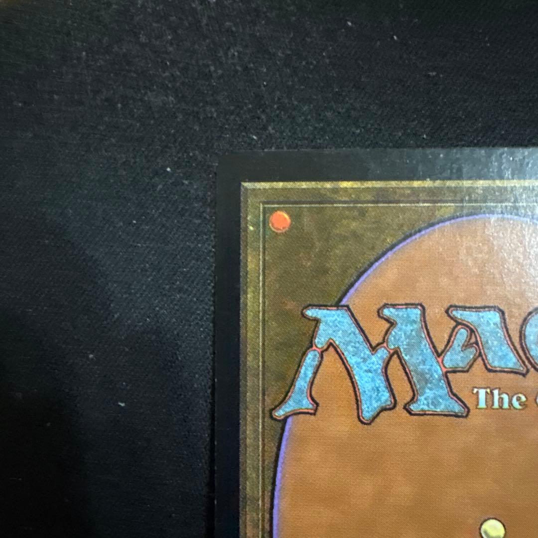 暴露 Unmask JP 日本語版 ホイル