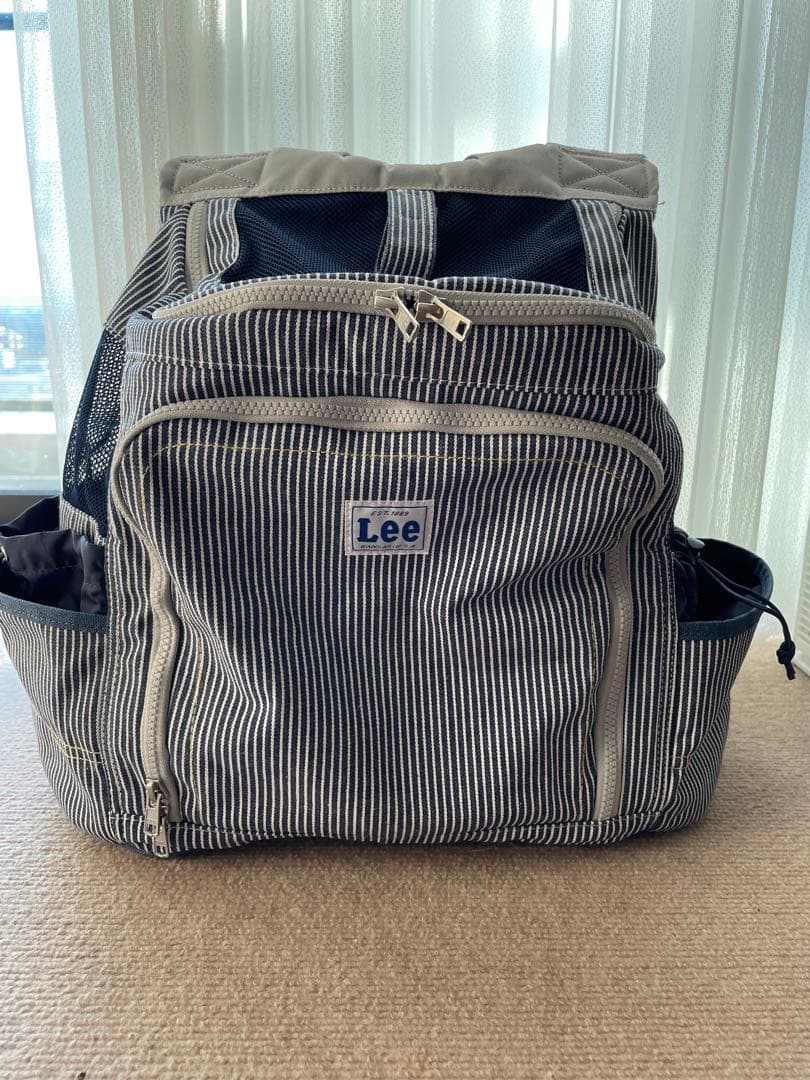 Lee ストライプ キャリーバッグ　【美品】
