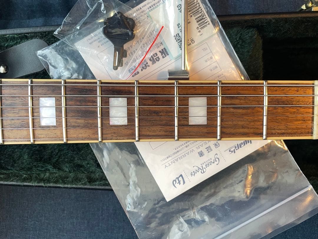 Edwars ESP E-SA-125LTS エドワーズ ES-335